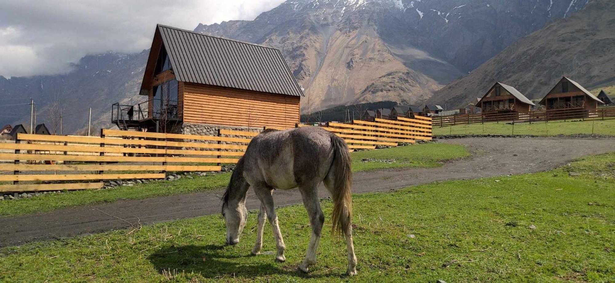 Traveler'S Cottages In Kazbegi Zewnętrze zdjęcie